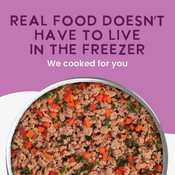 Health Extension Gently Cooked Grain Free Duck & Kale Recipe Wet Dog Food