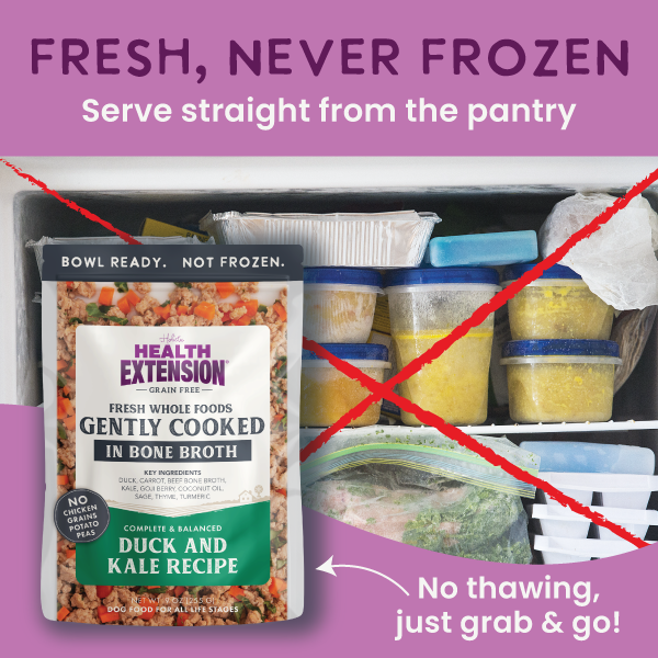 Health Extension Gently Cooked Grain Free Duck & Kale Recipe Wet Dog Food, additional view 1