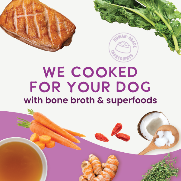 Health Extension Gently Cooked Grain Free Duck & Kale Recipe Wet Dog Food, additional view 2