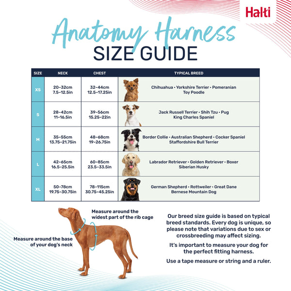 Halti Anatomy Dog Harness, additional view 3
