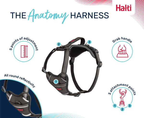 Halti Anatomy Dog Harness, additional view 1