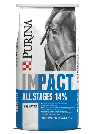 Purina Impact All Stages 14% Pelleted Horse Feed 50 lb bag