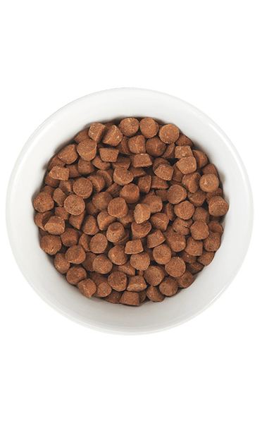 Tiki Cat Born Carnivore Baby Kitten Health Dry Cat Food, additional view 2