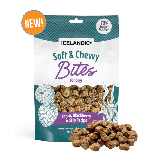 Icelandic+ Lamb, Blackberry & Kelp Recipe Soft & Chewy Bites Dog Treats