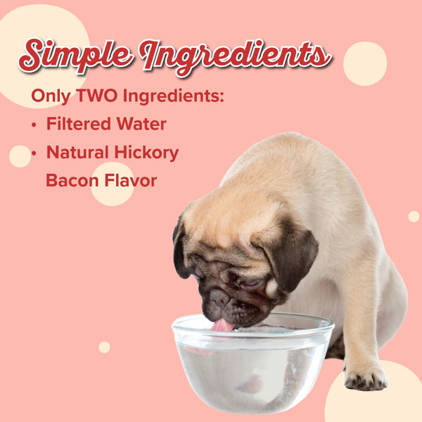 The Lazy Dog Cookie Co. Pup-POP Love Potion Dog Drink, additional view 2