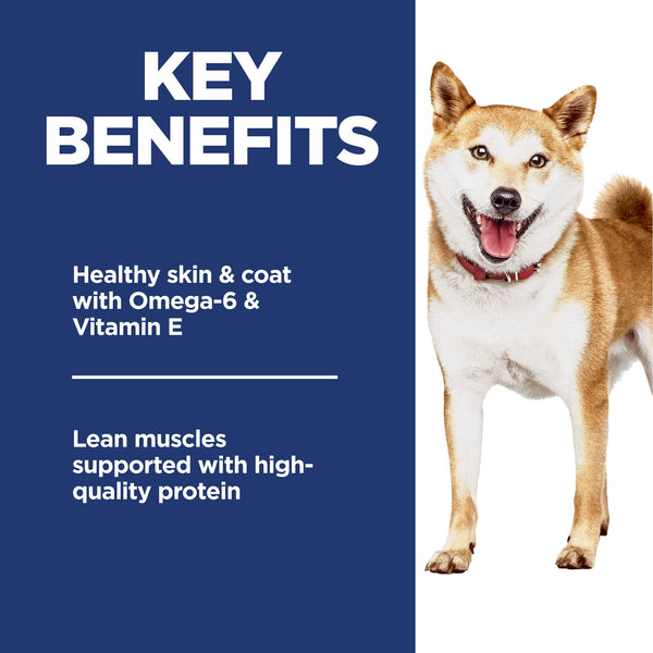 Hill's Science Diet Adult No Corn, Wheat, Soy Chicken & Brown Rice Dry Dog Food, additional view 3