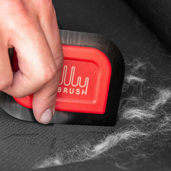 Lilly Mini-Blade pulling pet hair into a pile on carpet
