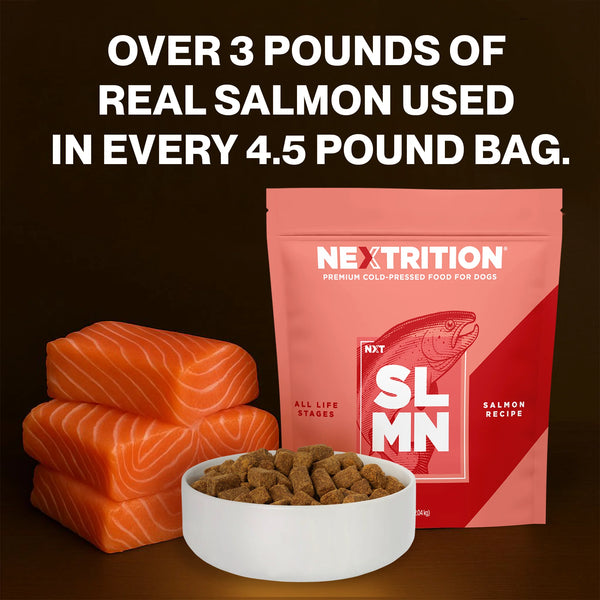 NexTrition Salmon Recipe Premium Cold Pressed Dog Food