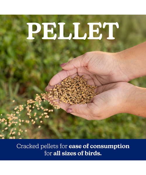 NatureWise All Flock 20% Protein Pellet, additional view 3
