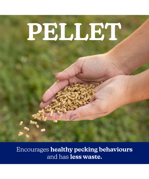 NatureWise Layer 17% Protein Pellet, additional view 3