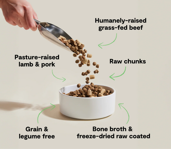Open Farm Raw Mix Front Range Grain & Legume Free