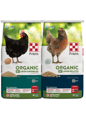 Purina Organic Layer Pellets chicken feed 35 lb bag