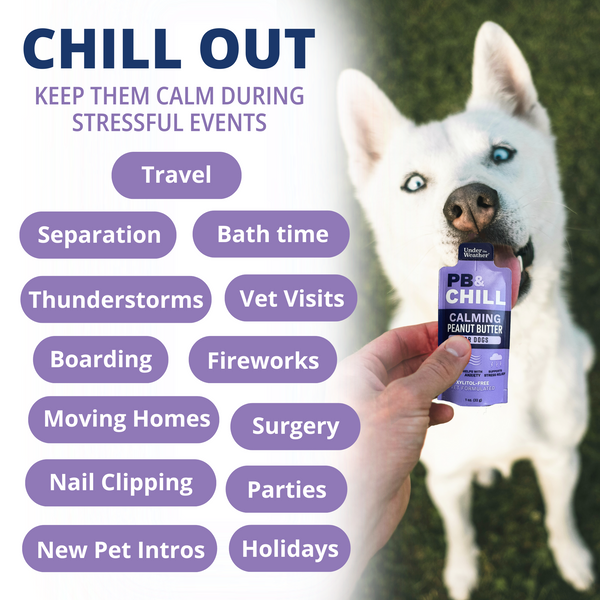 Under the Weather PB&CHILL Calming Peanut Butter for Dogs