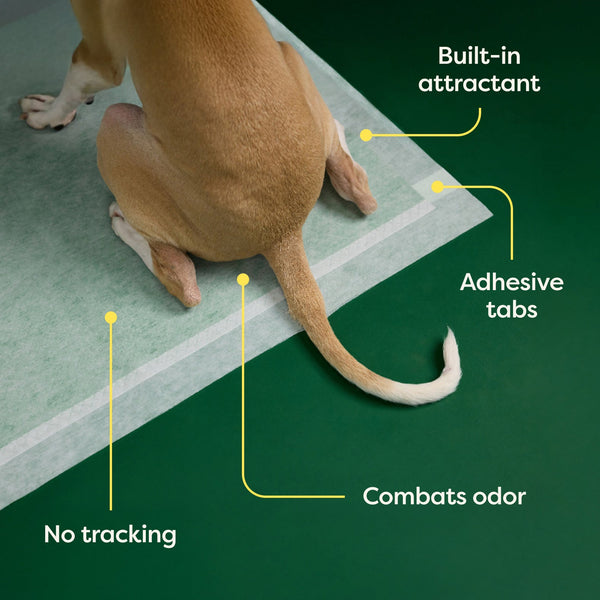 Earth Rated Dog Pee Pads, XL 28 x 34 in, 25 Count, additional view 1