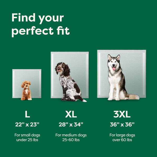 Earth Rated Dog Pee Pads, XL 28 x 34 in, 25 Count, additional view 3