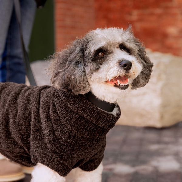 Canada Pooch Soho Turtleneck Chenille Dog Sweater, Grey Mix, additional view 1
