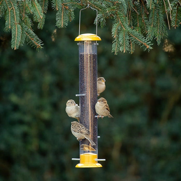 Perky Pet More Birds Topsy Tails Tube Finch Feeder - 1.5 lb