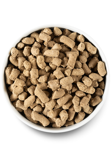 Open Farm Grass Fed Beef Freeze Dried Dog Food