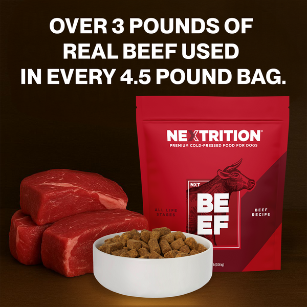 NexTrition Beef Recipe Premium Cold Pressed Dog Food