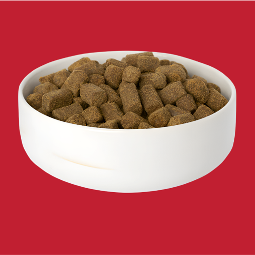 NexTrition Beef Recipe Premium Cold Pressed Dog Food