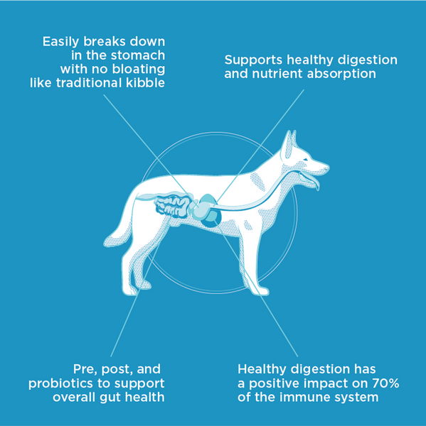 NexTrition Beef Recipe Premium Cold Pressed Dog Food