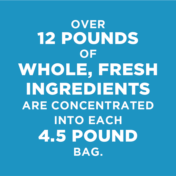 NexTrition Beef Recipe Premium Cold Pressed Dog Food
