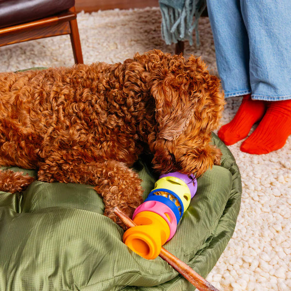 WAGLAB Stackable Treat Holders - Build Your Stack Small Dogs
