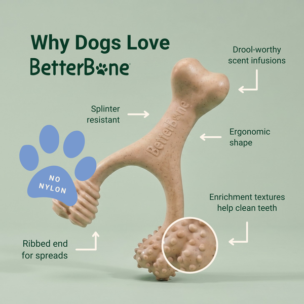 BetterBone Moderate Density Wishbone Chew Toy, additional view 3