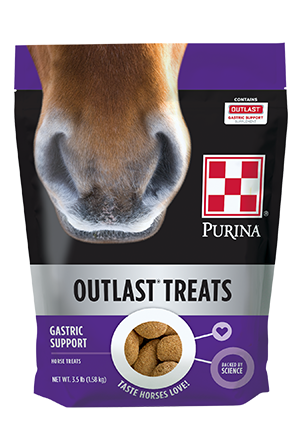Purina Outlast Horse Treats, additional view 1