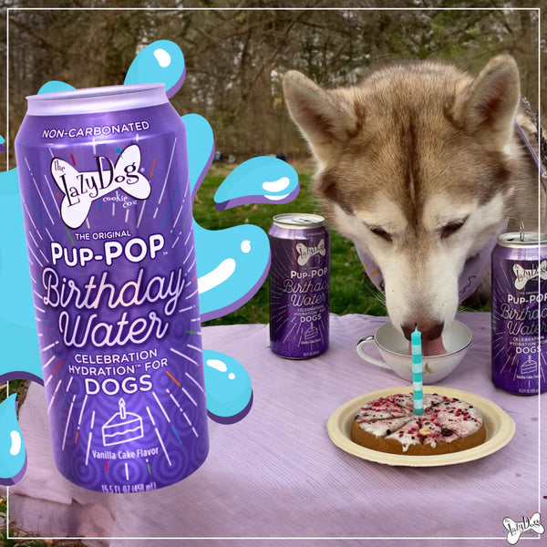 Lazy Dog Pup-Pop Birthday Celebration Drink for Dogs