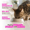 RAWZ Phosphorus Beef Pate Recipe Wet Cat Food