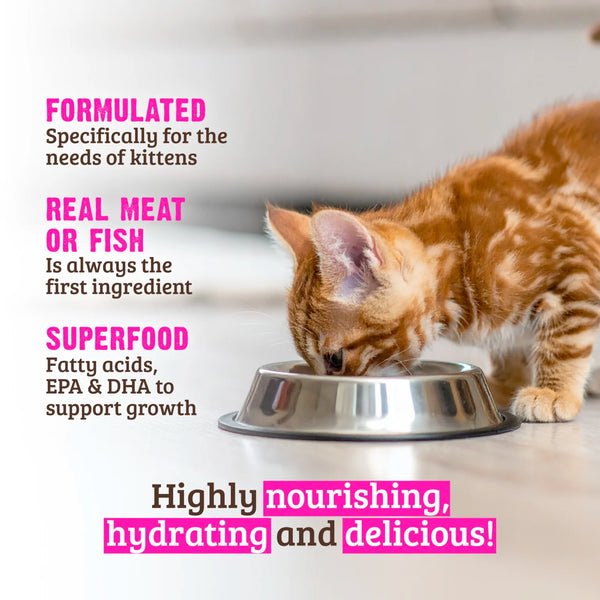 RAWZ Kitten Pate Wet Cat Food 2.8 oz, Case of 18, additional view 4