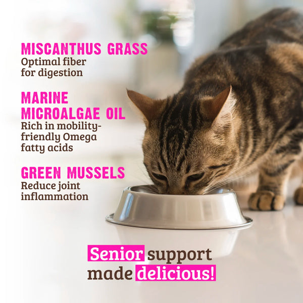 RAWZ Senior Pate Wet Cat Food 5.5 oz, Case of 24, additional view 5