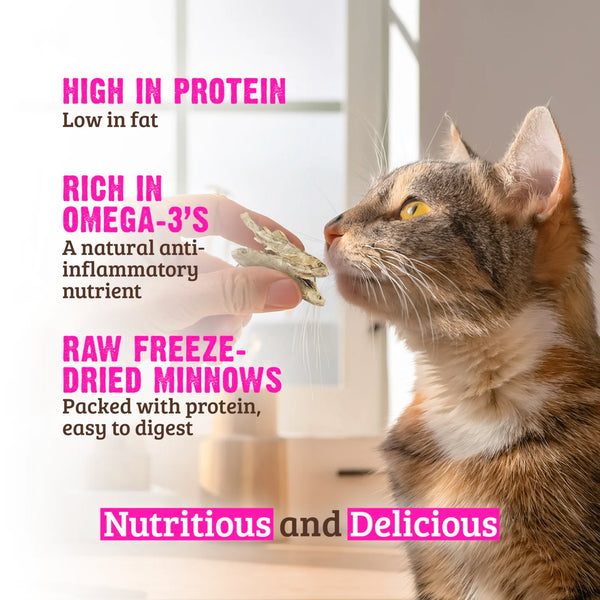 RAWZ Freeze Dried Cat Treats, additional view 5