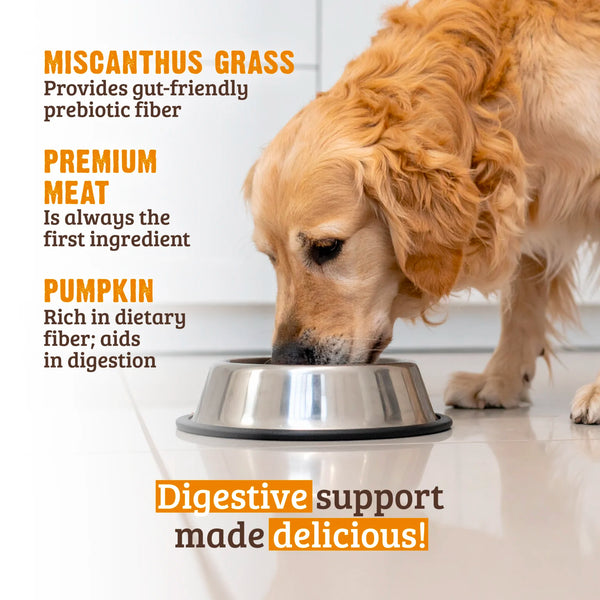 RAWZ Digestive Support Turkey & Pumpkin Pate Wet Dog Food, additional view 3