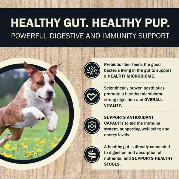 Red Barn Air Dried Digestive Health Fish Formula Dog Food