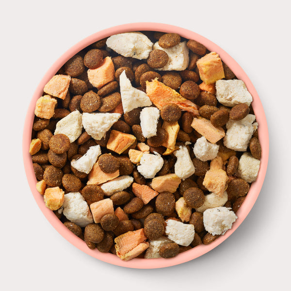 Animals Like Us Freeze-Dried RawMix50 Fish & Salmon Recipe Dog Food