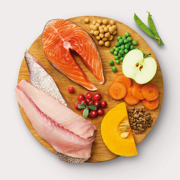 Animals Like Us Freeze-Dried RawMix50 Fish & Salmon Recipe Dog Food
