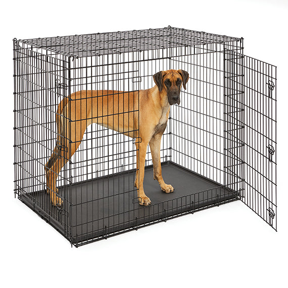 MidWest Solutions Heavy Duty Double Door Dog Crate, 54 in (Special Order), additional view 3