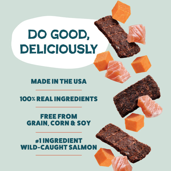 Shameless Pets Salmon Loves Butternut Bite Sized Jerky Dog Treats, additional view 2