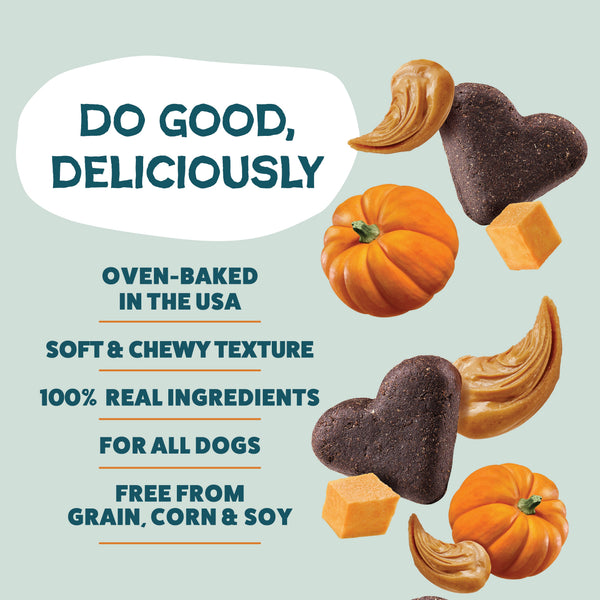 Shameless Pets Pumpkin Nut Partay Soft-Baked Dog Treats, additional view 2