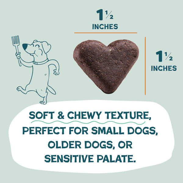 Shameless Pets Pumpkin Nut Partay Soft-Baked Dog Treats, additional view 3