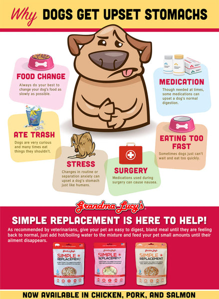 Grandma Lucy's Simple Replacement Chicken Bland Dog Food