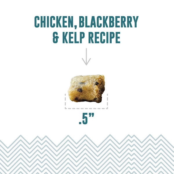 Icelandic+ Chicken, Blackberry & Kelp Recipe Soft & Chewy Bites Cat Treats