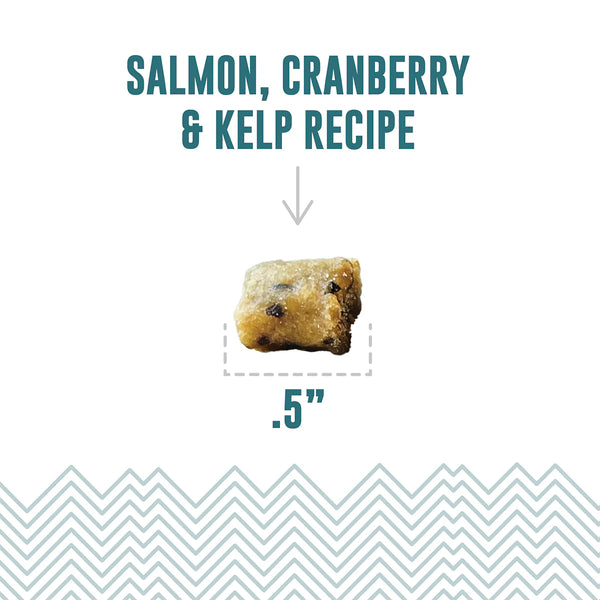 Icelandic+ Salmon, Cranberry & Kelp Recipe Soft & Chewy Bites Cat Treats