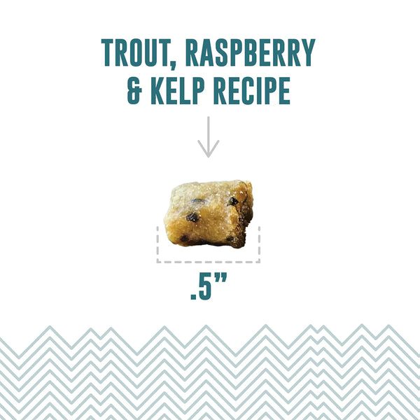 Icelandic+ Trout, Raspberry & Kelp Recipe Soft & Chewy Bites Cat Treats