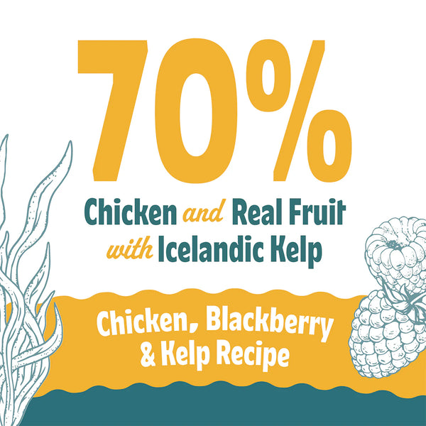 Icelandic+ Chicken, Blackberry & Kelp Recipe Soft & Chewy Bites Dog Treats