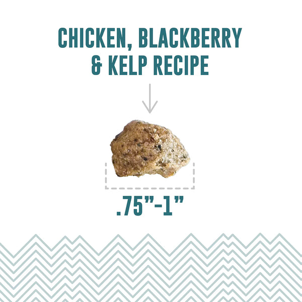 Icelandic+ Chicken, Blackberry & Kelp Recipe Soft & Chewy Bites Dog Treats