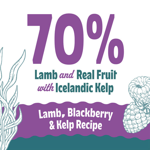 Icelandic+ Lamb, Blackberry & Kelp Recipe Soft & Chewy Bites Dog Treats
