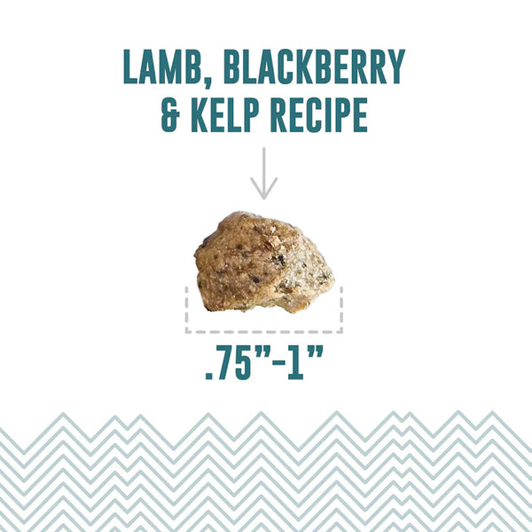 Icelandic+ Lamb, Blackberry & Kelp Recipe Soft & Chewy Bites Dog Treats